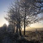 Winter im Erzgebirge
